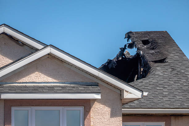 Licensed Fire Damage Removal service in Arlington, MN - Fire Damage Biloxi
